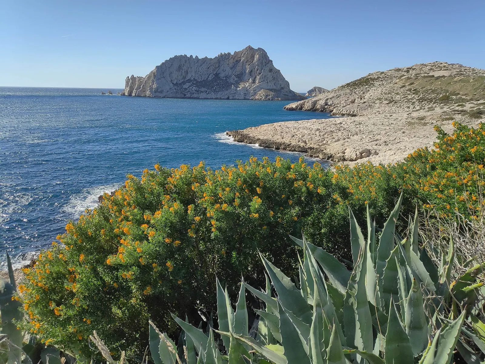 L'île Maïre, face à la côte des Goudes