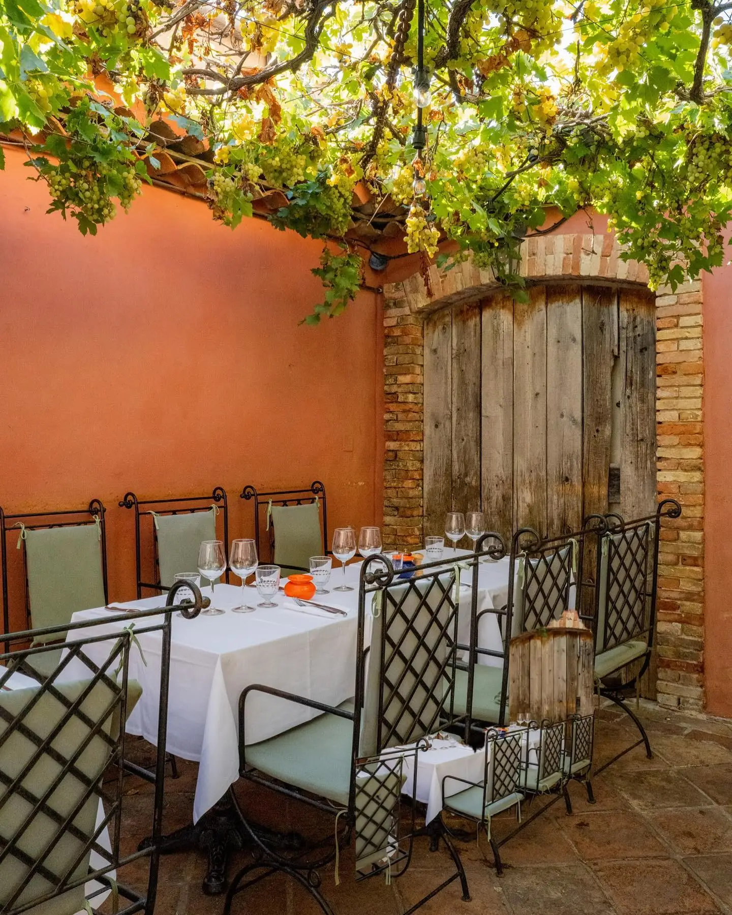 Le patio de La Grotte sous la tonnelle de vigne